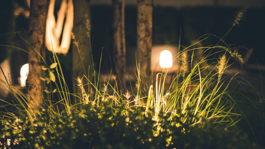 Tips For Using Your Solar Lights Effectively